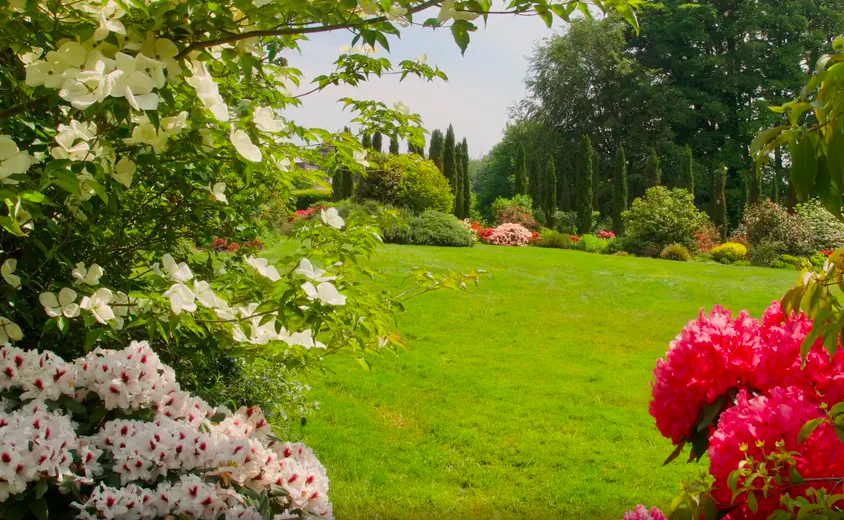 Jardin paysager