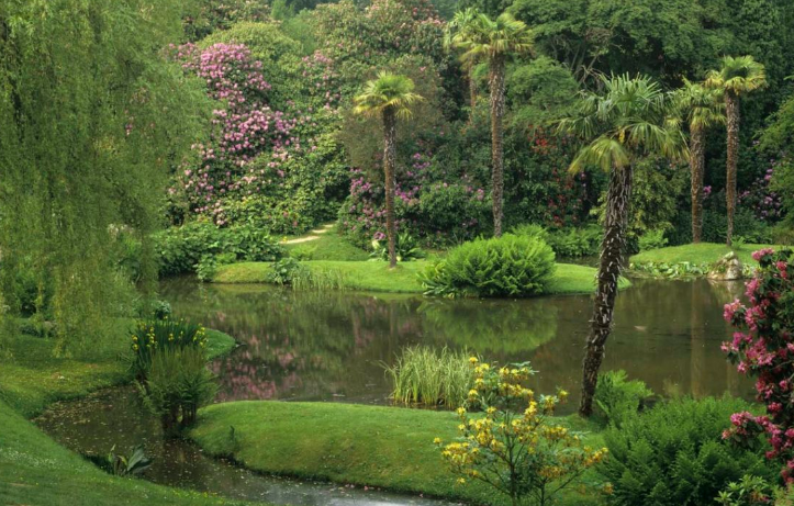 Jardin paysager