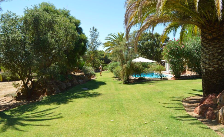 Jardin paysager