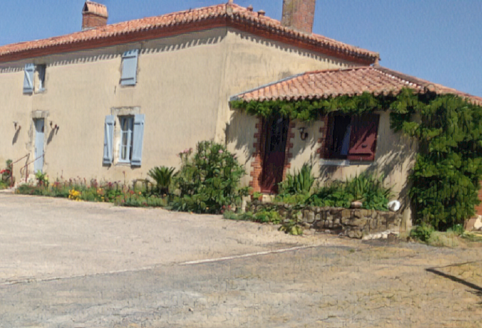 Vendéenne 10