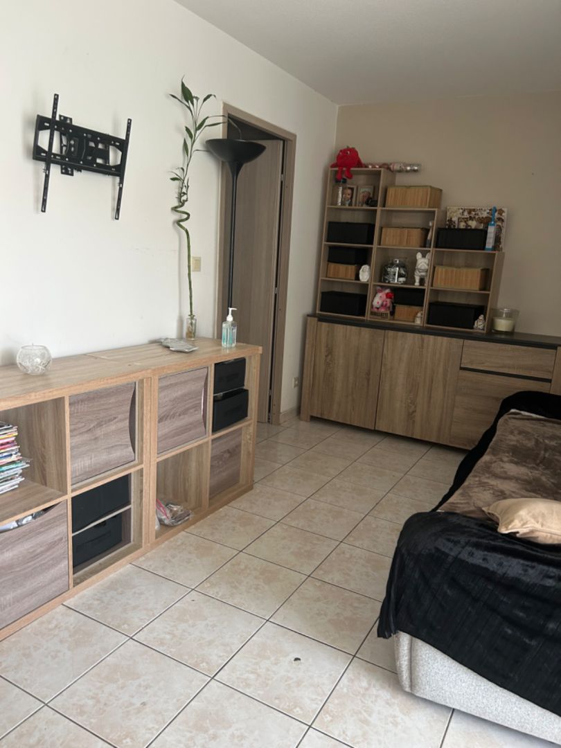 salon_sejour