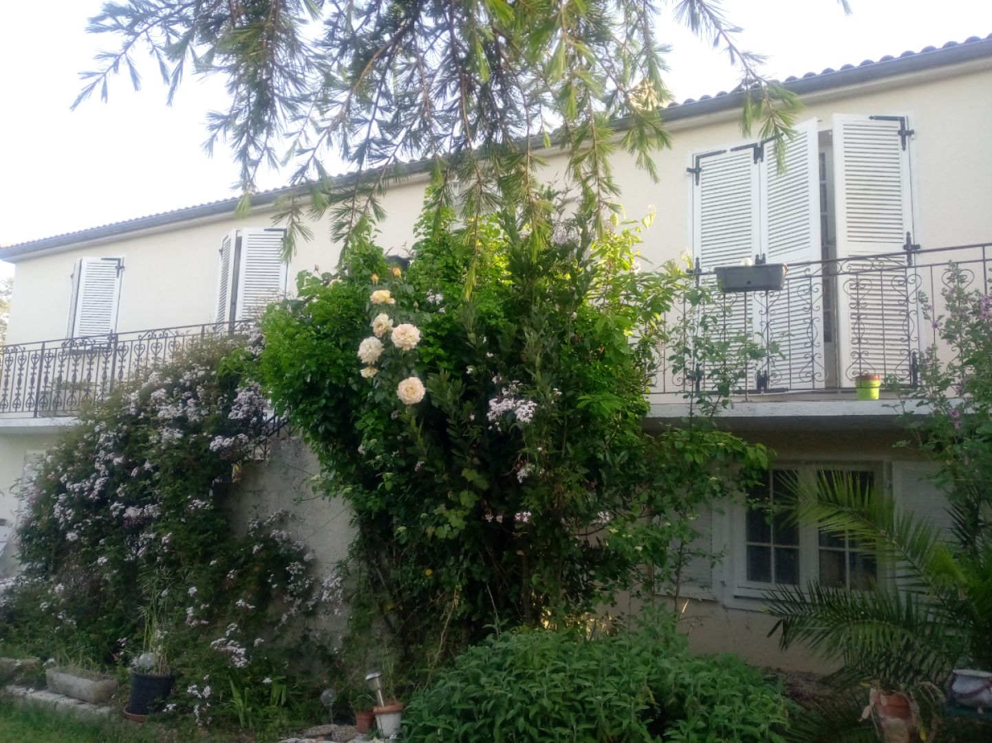 facade