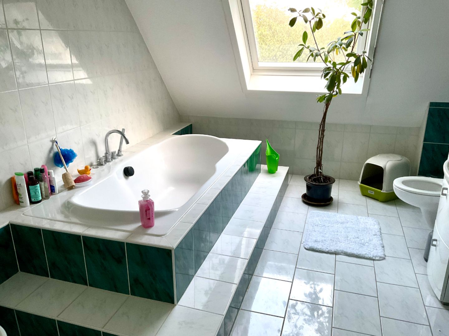salle_de_bain