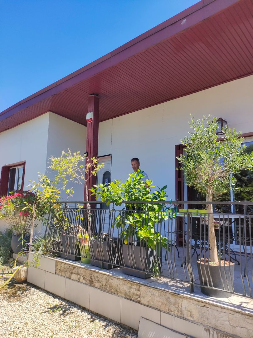 facade